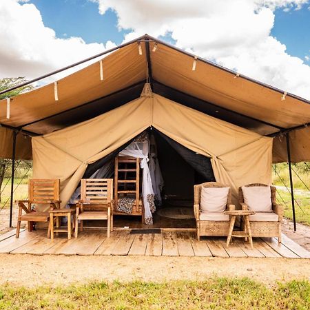 Africa Safari Serengeti Ikoma Eksteriør bilde