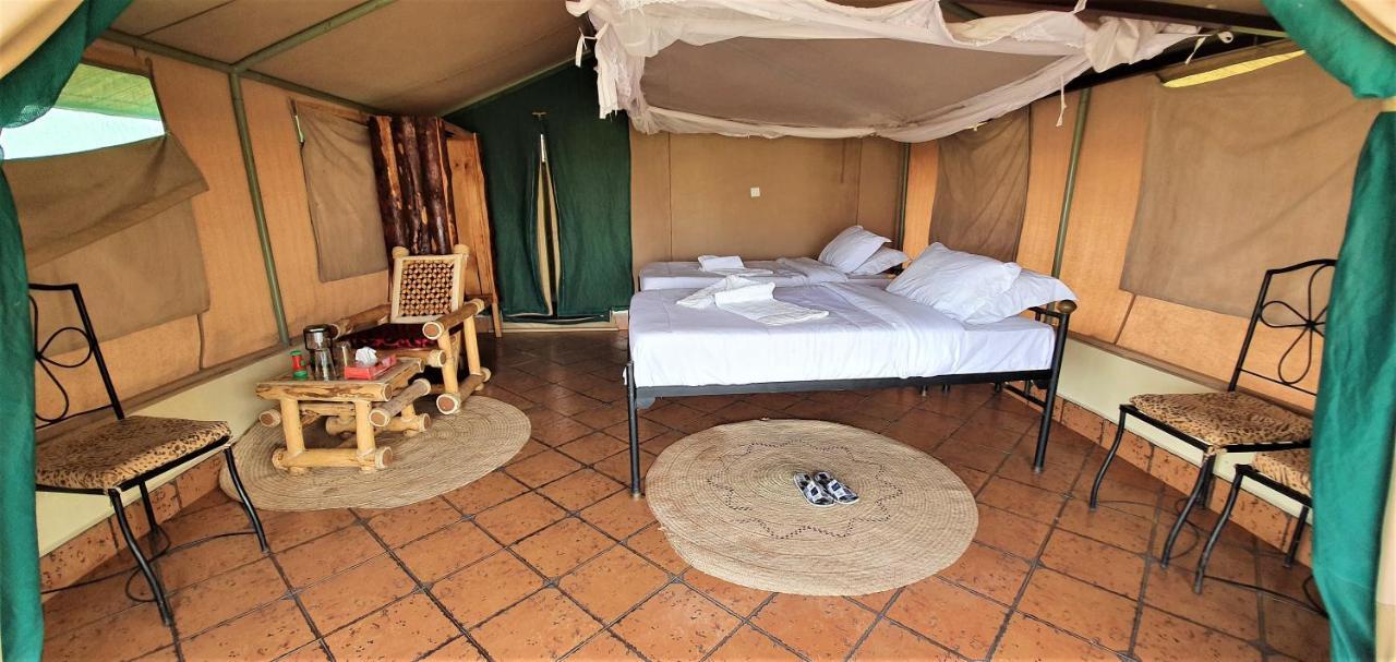 Africa Safari Serengeti Ikoma Eksteriør bilde