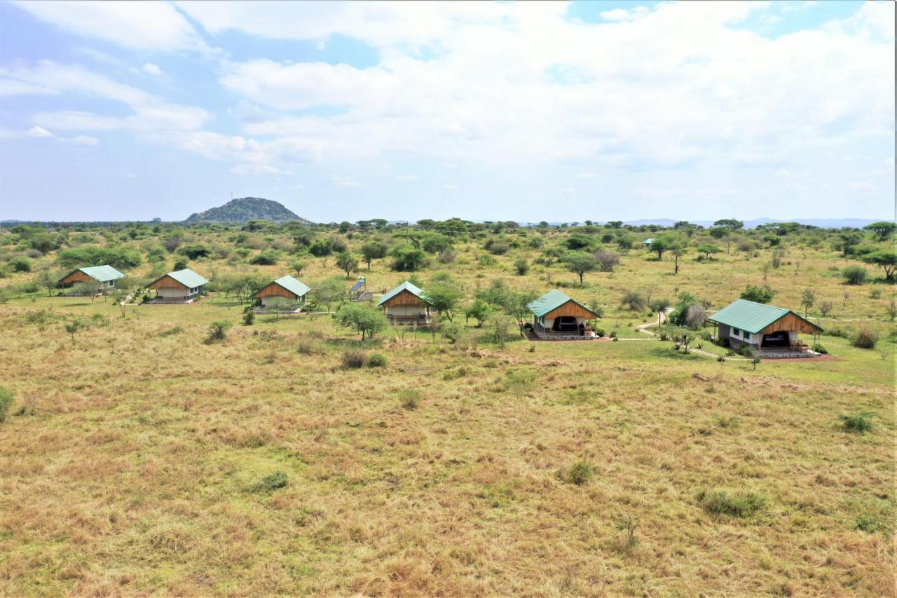 Africa Safari Serengeti Ikoma Eksteriør bilde