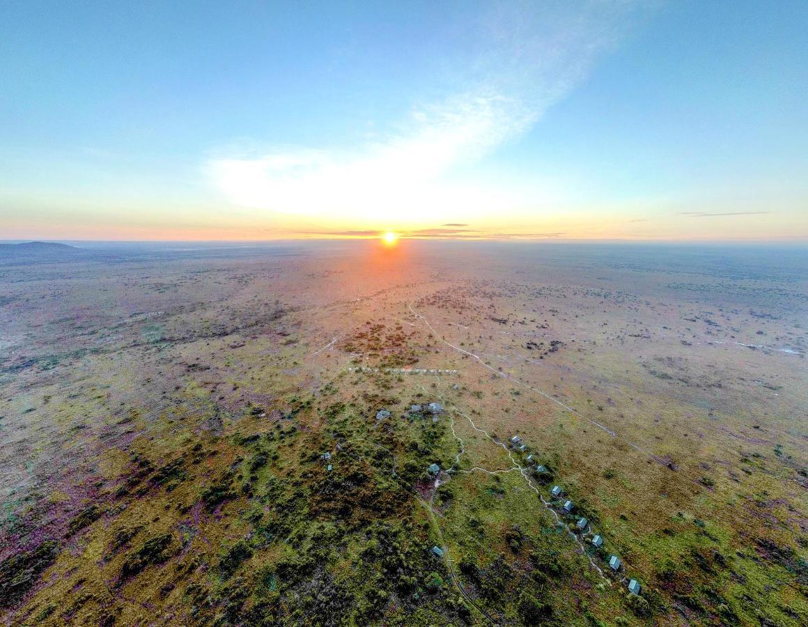 Africa Safari Serengeti Ikoma Eksteriør bilde
