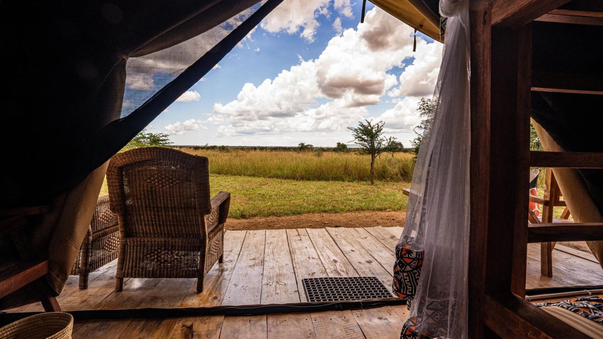 Africa Safari Serengeti Ikoma Eksteriør bilde
