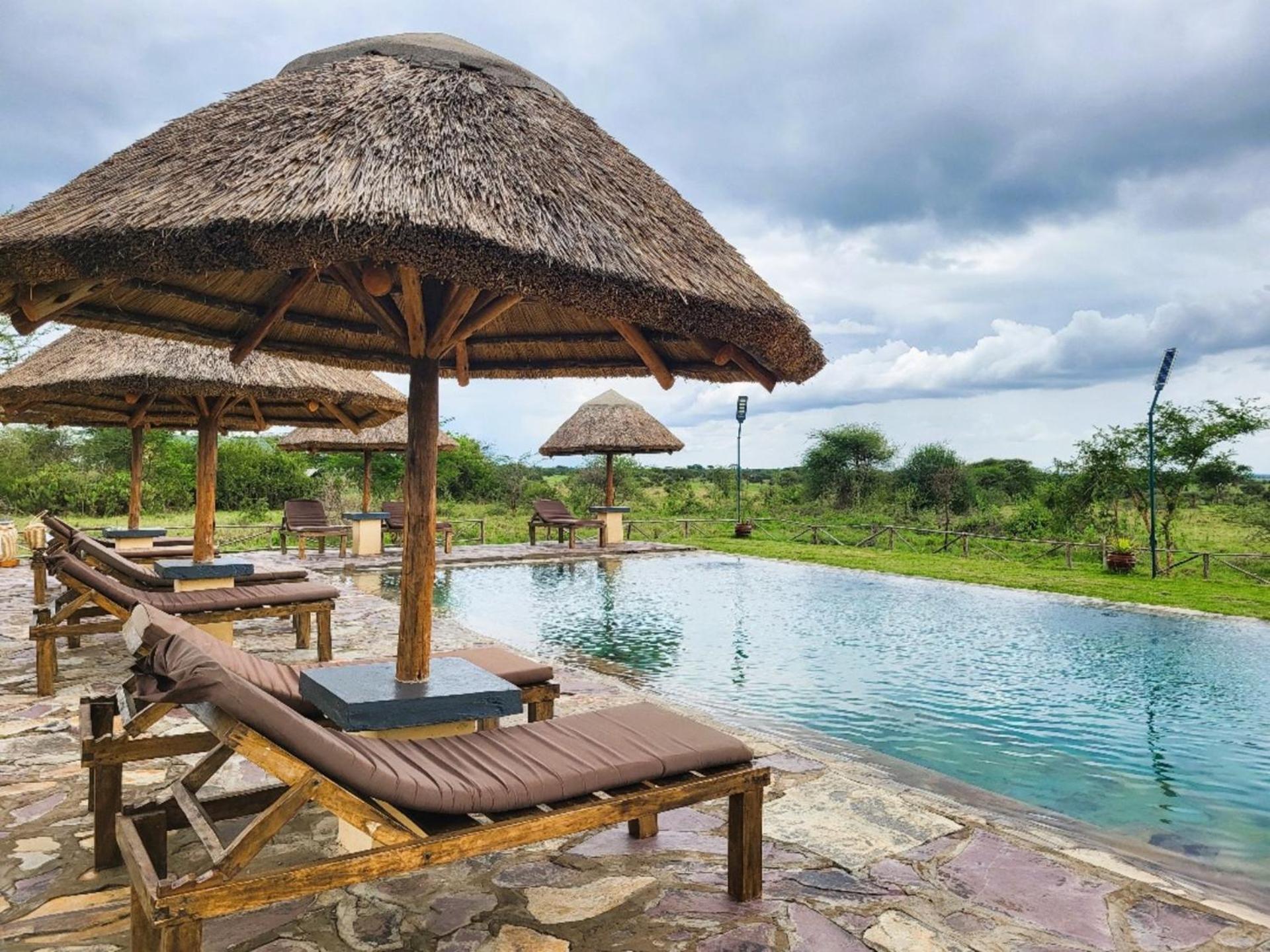 Africa Safari Serengeti Ikoma Eksteriør bilde